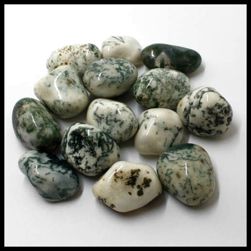 Tree Agate Crystal Tumbled Stones