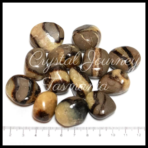 Septarian Nodule Crystal Tumbled Stones