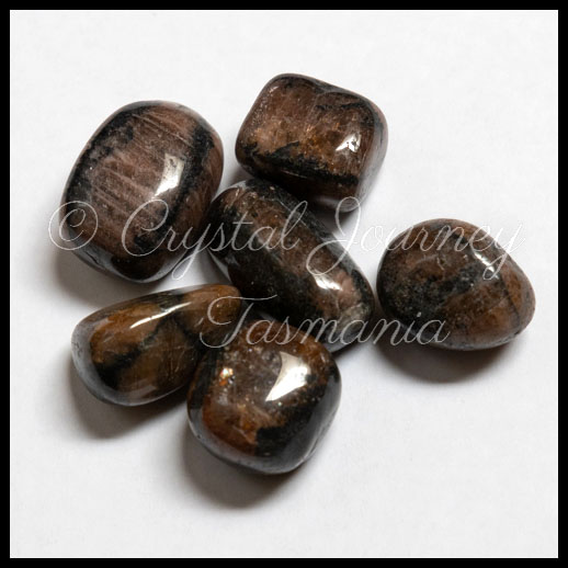 Chiastolite Crystal Tumbled Stones