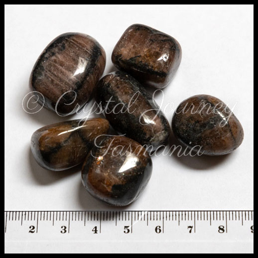 Chiastolite Crystal Tumbled Stones