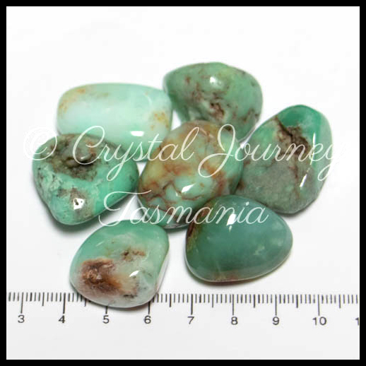 Chrysoprase Crystal Tumbled Stone