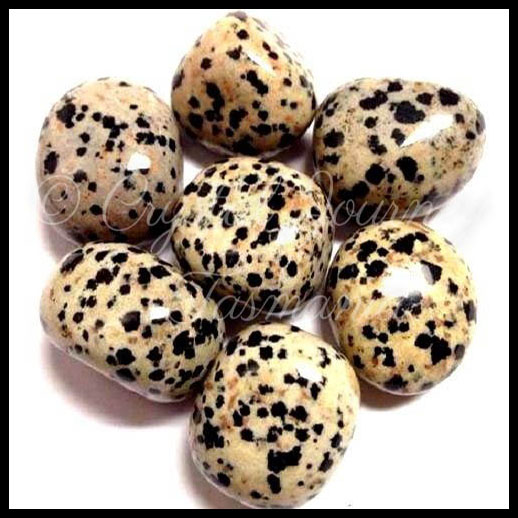 Dalmatian Jasper Crystal Tumbled Stone