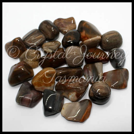 Petrified Wood Crystal Tumbled Stone