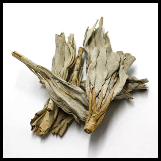 White Sage Smudge Stems - Salvia Apiana, 9cm