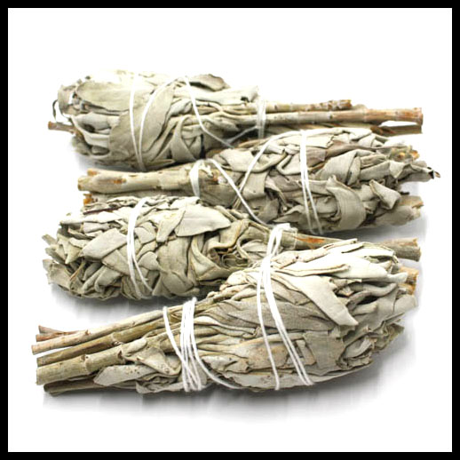 Californian White Sage Smudge Stick - Salvia Apiana