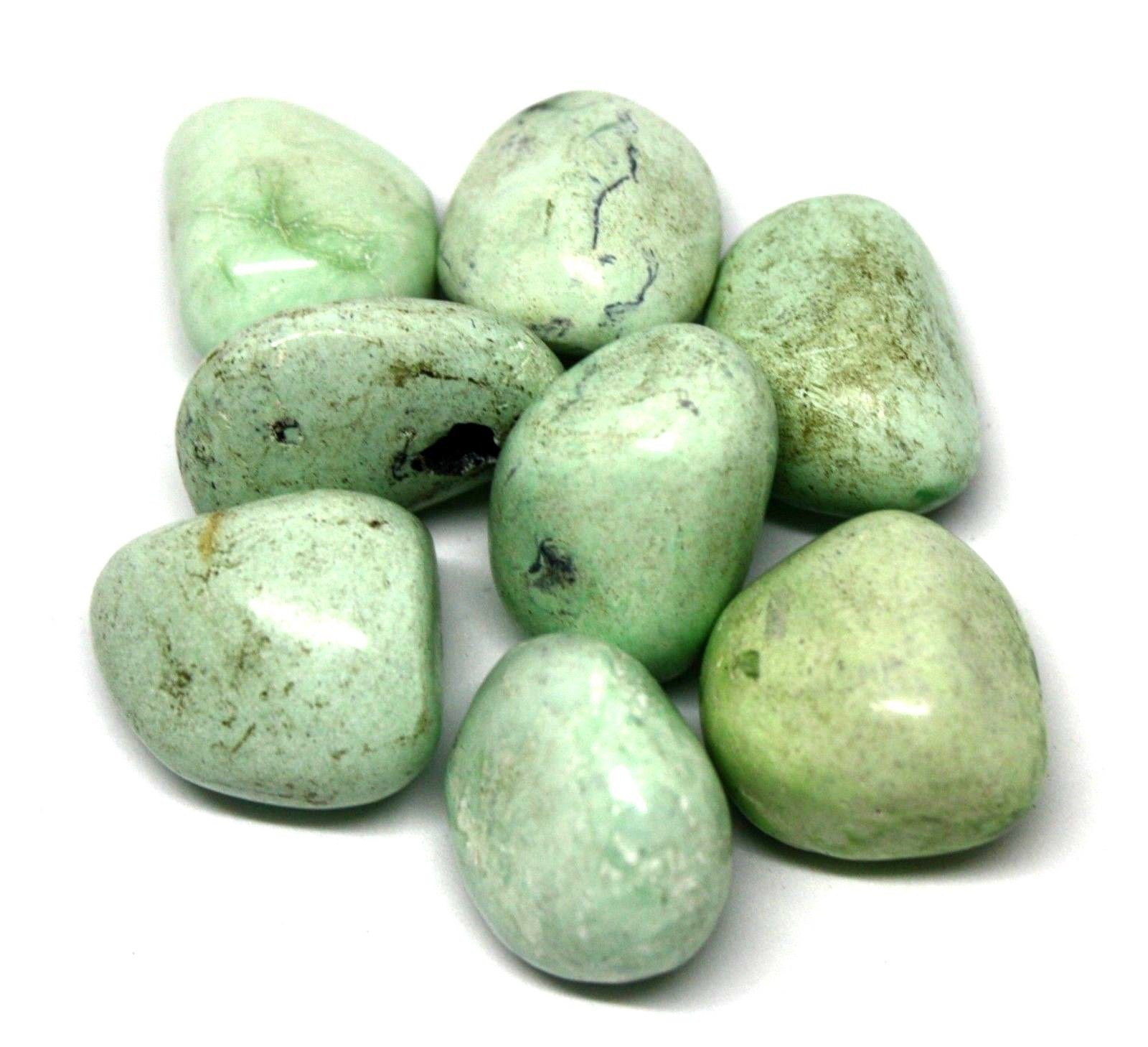 Green Snakeskin Jasper Crystal Tumbled Stones Green Snakeskin